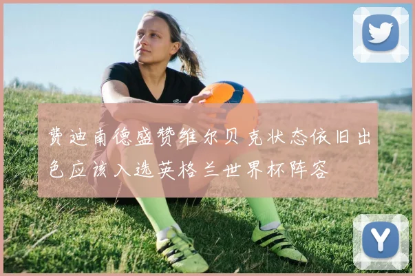 费迪南德盛赞维尔贝克状态依旧出色应该入选英格兰世界杯阵容